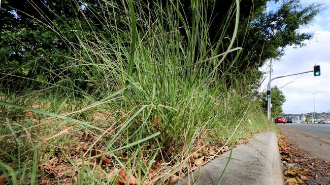 Ipswich City Council has moved to make changes to its mowing processes to address residents’ concerns about overgrown paths and parks.