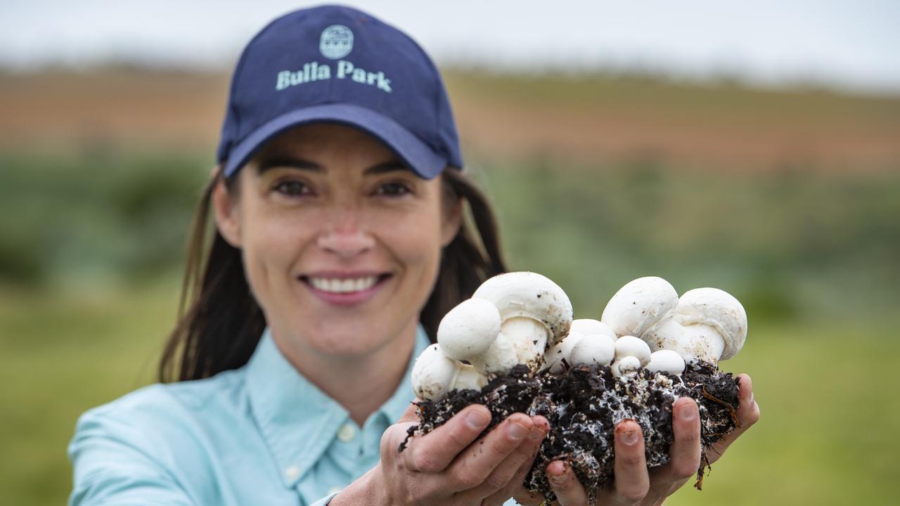 Chair of the Australian Mushroom Growers Association and CEO of Bulla Park, Georgia Beattie said supermarket mushrooms were not to blame for the deaths. Picture: Zoe Phillips.