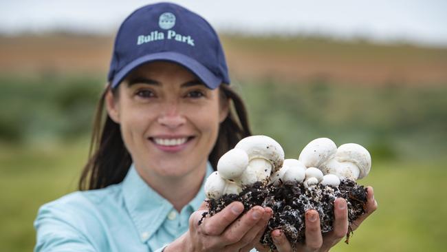 Chair of the Australian Mushroom Growers Association and CEO of Bulla Park, Georgia Beattie said supermarket mushrooms were not to blame for the deaths. Picture: Zoe Phillips.