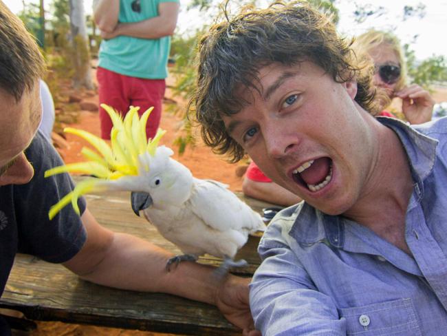 Allan Dixon’s animal selfies - cockatoo. Pic: @Daxon/Caters News