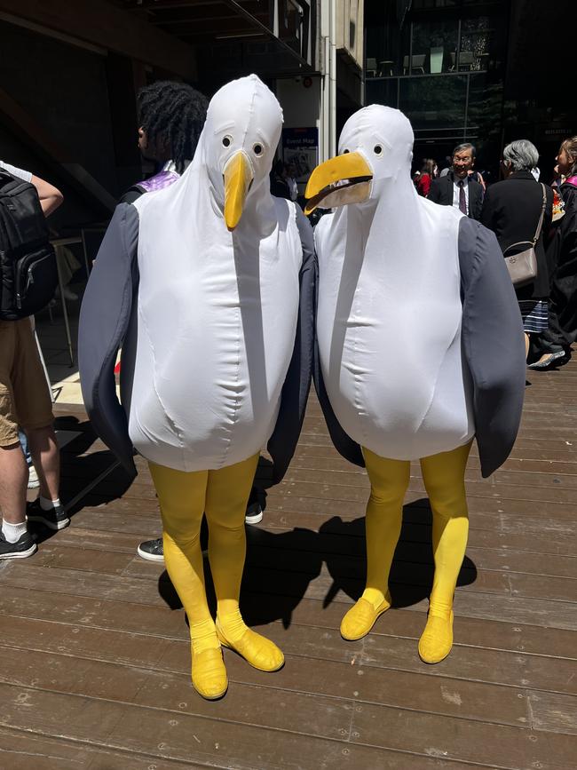 The RMIT seagull mascots at the RMIT University graduation day on Wednesday, December 18, 2024. Picture: Jack Colantuono