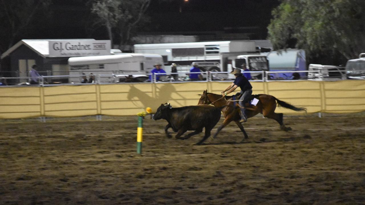 Friday night campdraft