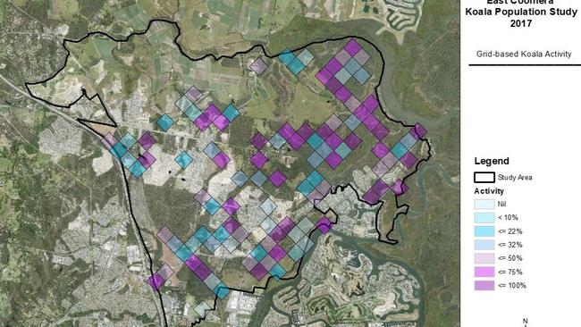 East Coomera Koala Population study findings (2017). PHOTO: Supplied