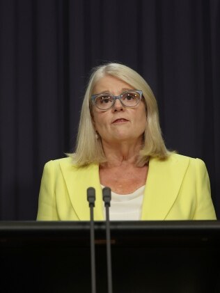 Home Affairs Minister Karen Andrews said Beijing would be "very aware" of the positions held by shadow ministers on China. Picture: NCA NewsWire / Gary Ramage