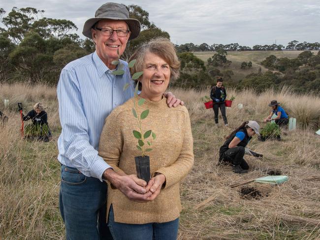 02-06-2023 WORLD ENVIRONMENT DAY PITCH: Thousands of trees to be planted in new Koala Corridor on land dedicated by local farmers Ross and Elizabeth Wilkie on their property "Moranghurk" near Lethbridgre. Picture: Brad Fleet