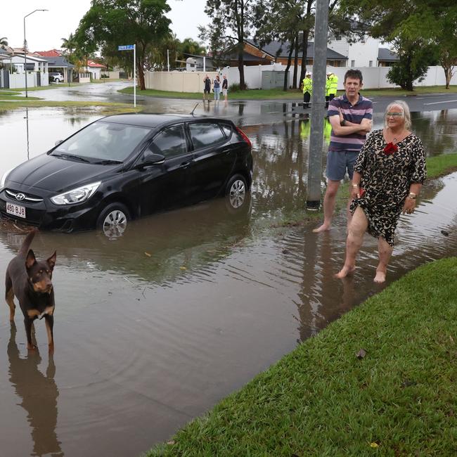 Locals and their dog watch on.