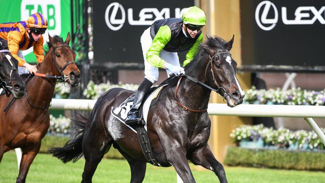 Persan has come from nowhere to secure his place in the Cup after winning the Bart Cummings. Picture: Racing Photos via Getty Images