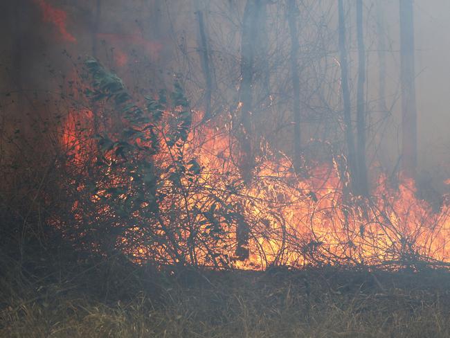 Firefighters battle bushfires in Busbys Flat, northern NSW, Wednesday, October 9, 2019. (AAP Image/Jason O'Brien)