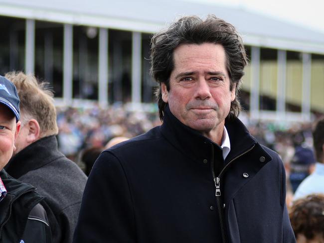 WARRNAMBOOL, AUSTRALIA - MAY 01: Gillon McLachlan is seen with Wylie Dalziel during Galleywood Day at Warrnambool Racecourse on May 01, 2024 in Warrnambool, Australia. (Photo by Vince Caligiuri/Getty Images)
