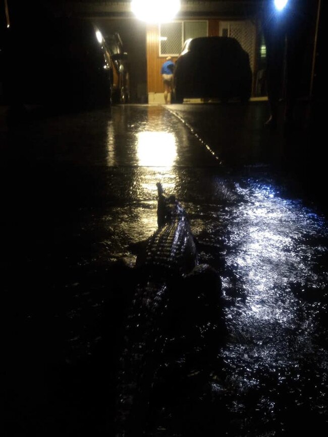 A freshwater crocodile was spotted on O'Reilly St, Mundingburraa as the water rose. Picture: Supplied.