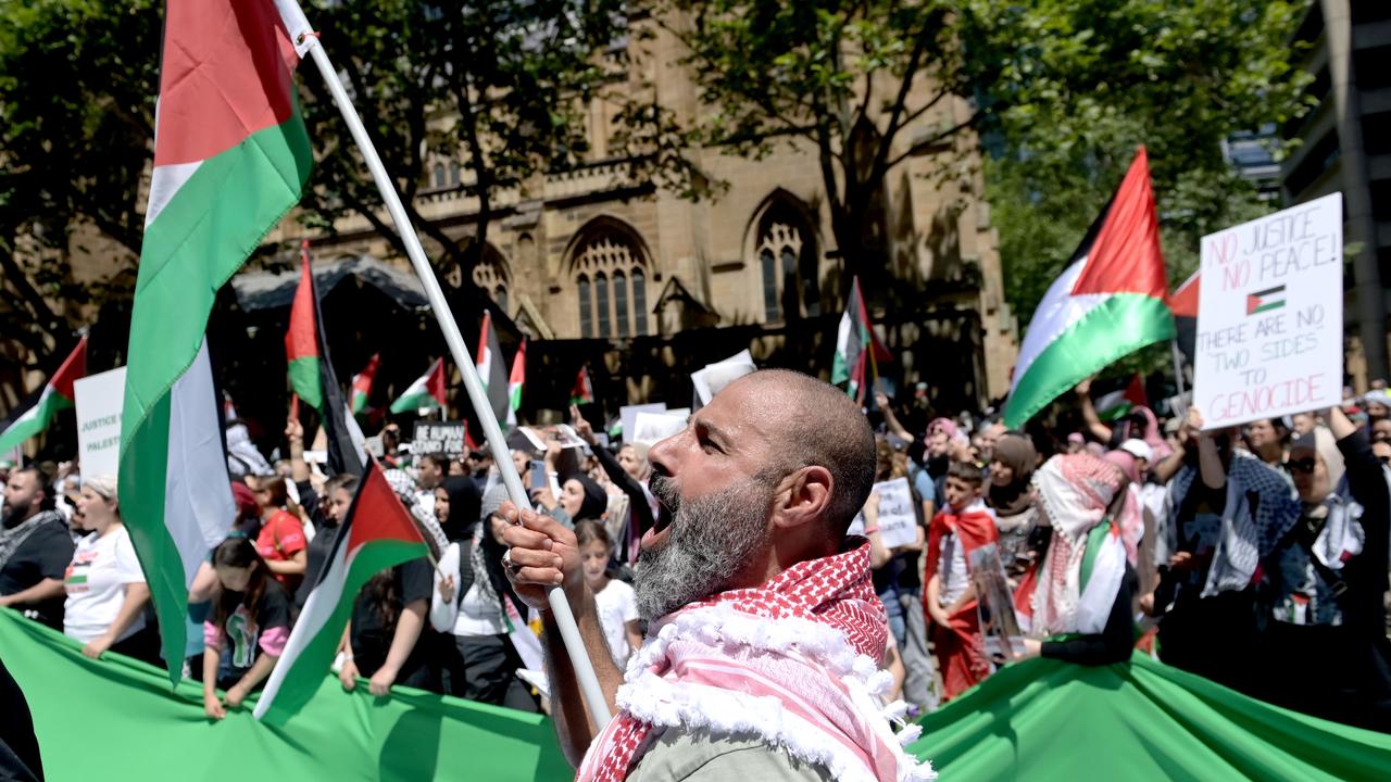 Rallies across the country have called for support for Palestine. Picture: NCA NewsWire / Jeremy Piper