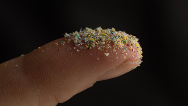 Researchers at the Plastics and Human Health laboratory at The University of Queensland will study if nano and microplastic is present in human brains, blood and urine. Photo: David Kelly.