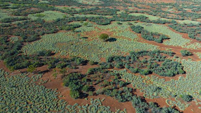 Vergemont Station has been sold by the Bode family to the Queensland government following a $21 million donation to The Nature Conservancy. Picture: Ian Wilkinson