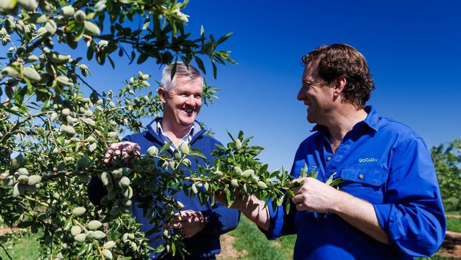 Sandmount Farm general manager Nick Raleigh with Liam Lenaghan in goFARM’s Katunga almond orchard.