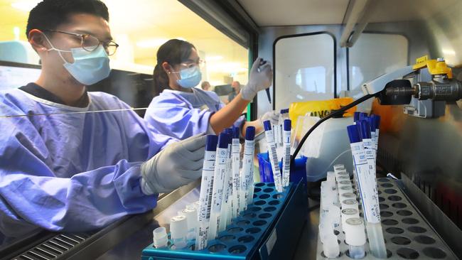 Acting Senior Scientist Shannen Fentiman and scientist d'Artagnan Barnard working on Covid swabs. .. Picture Glenn Hampson