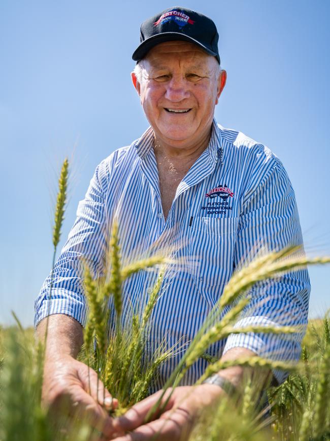 Roger Fletcher in the wheat field. Picture: David Roma