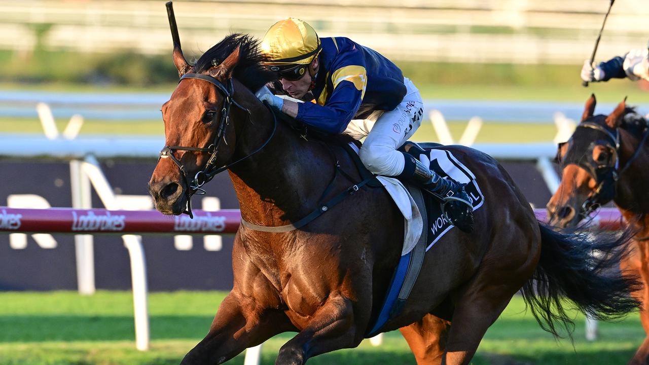 Lindsay Park declares War in Stradbroke
