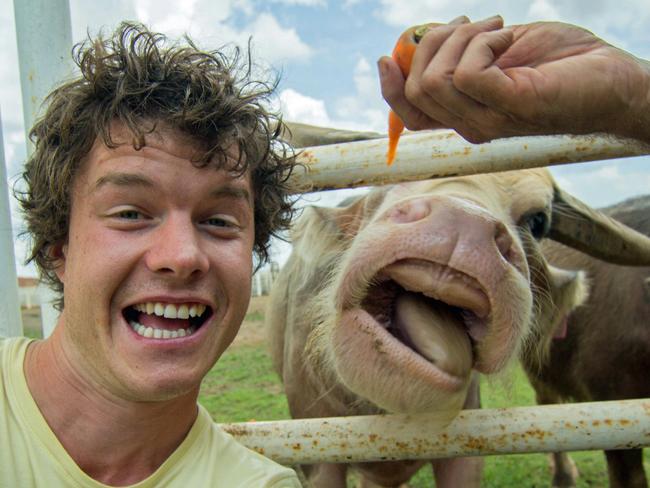 Allan Dixon’s animal selfies - cow. Pic: @Daxon/Caters News