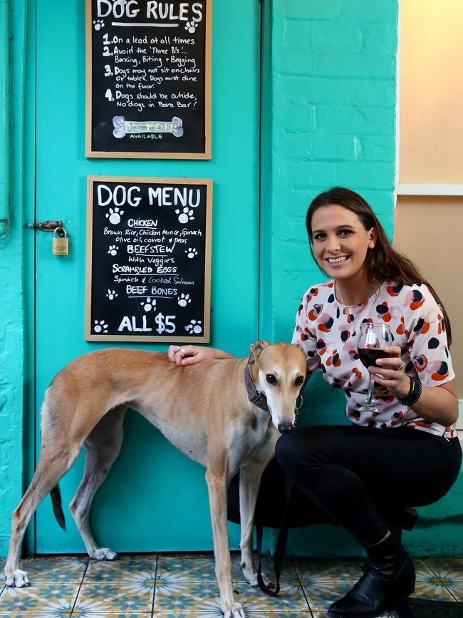 The Balmain hotel allows dogs in the front bar provided they are on a lead and even have a dog menu to cater for the canines. Picture: Toby Zerna