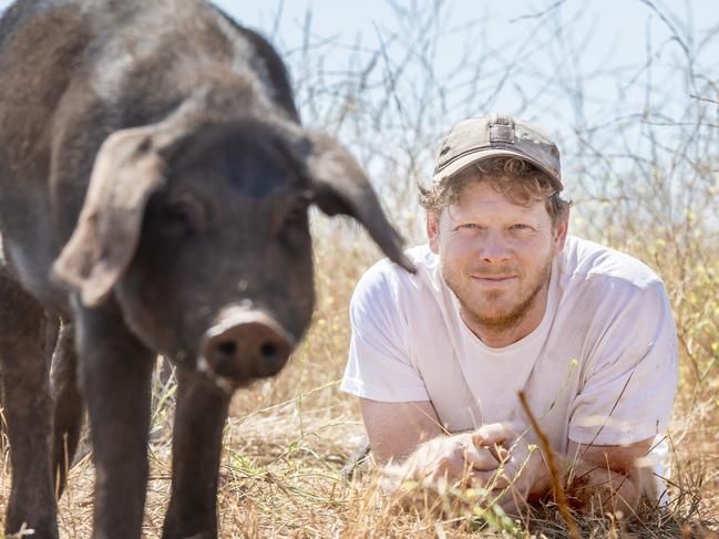 PIG & EARTH FARM: Will BennettWill Bennett with his pigs on farm at Kingston. PICTURED: Will with a 6 month old Large Black grower.