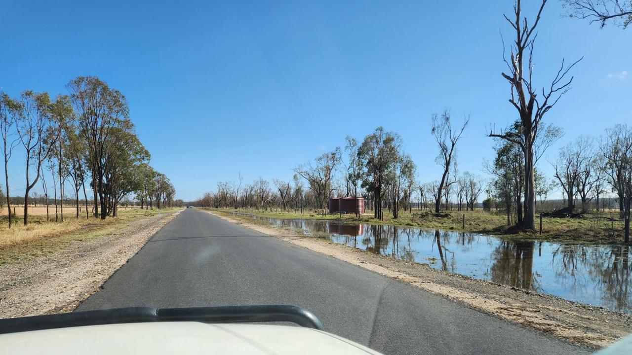 Trees were stripped of their leaves and some even snapped in half at Jandowae following a severe thunderstorm. Photo: Brendan Taylor