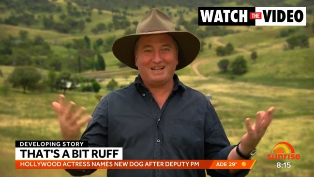 Barnaby Joyce responds to Amber Heard naming her dog after him (Sunrise)