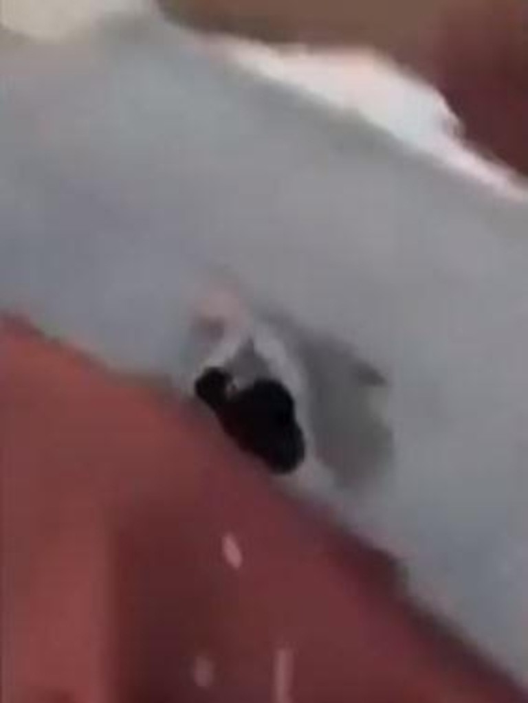 Shocking footage shows the moment the 23-year-old plunged through a plastic panel. Picture: Newsflash/australscope