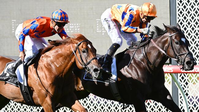 Johnny Rocker (left) runs second to Imperatriz in the William Reid Stakes.