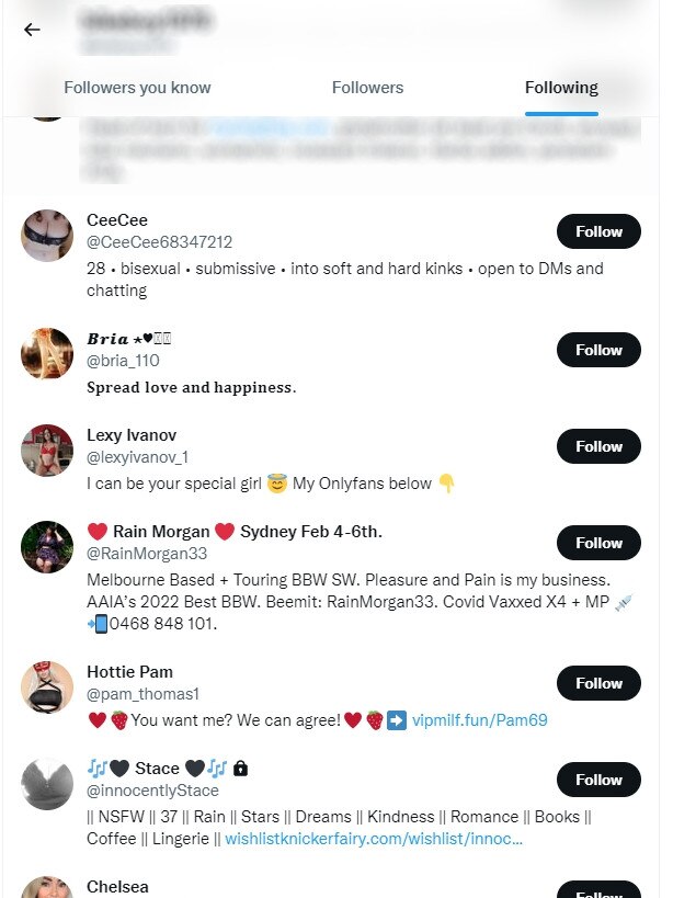 Screenshots of the accounts the Twitter handle was following.