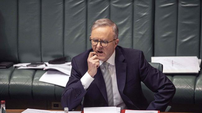 Prime Minister Anthony Albanese during Question Time. Picture: NCA NewsWire / Gary Ramage