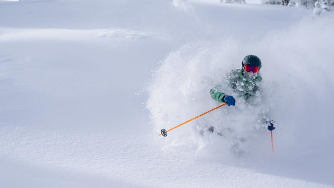 Lapping up the ‘champagne powder’ at Steamboat in Colorado.