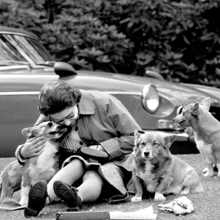 The Queen sitting with her Corgis in 1973. PA Wire/AAP