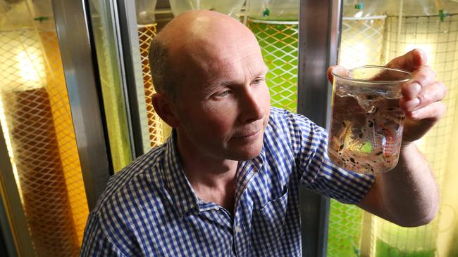 Australian Antarctic Division krill biologist Rob King with a beaker of krill.