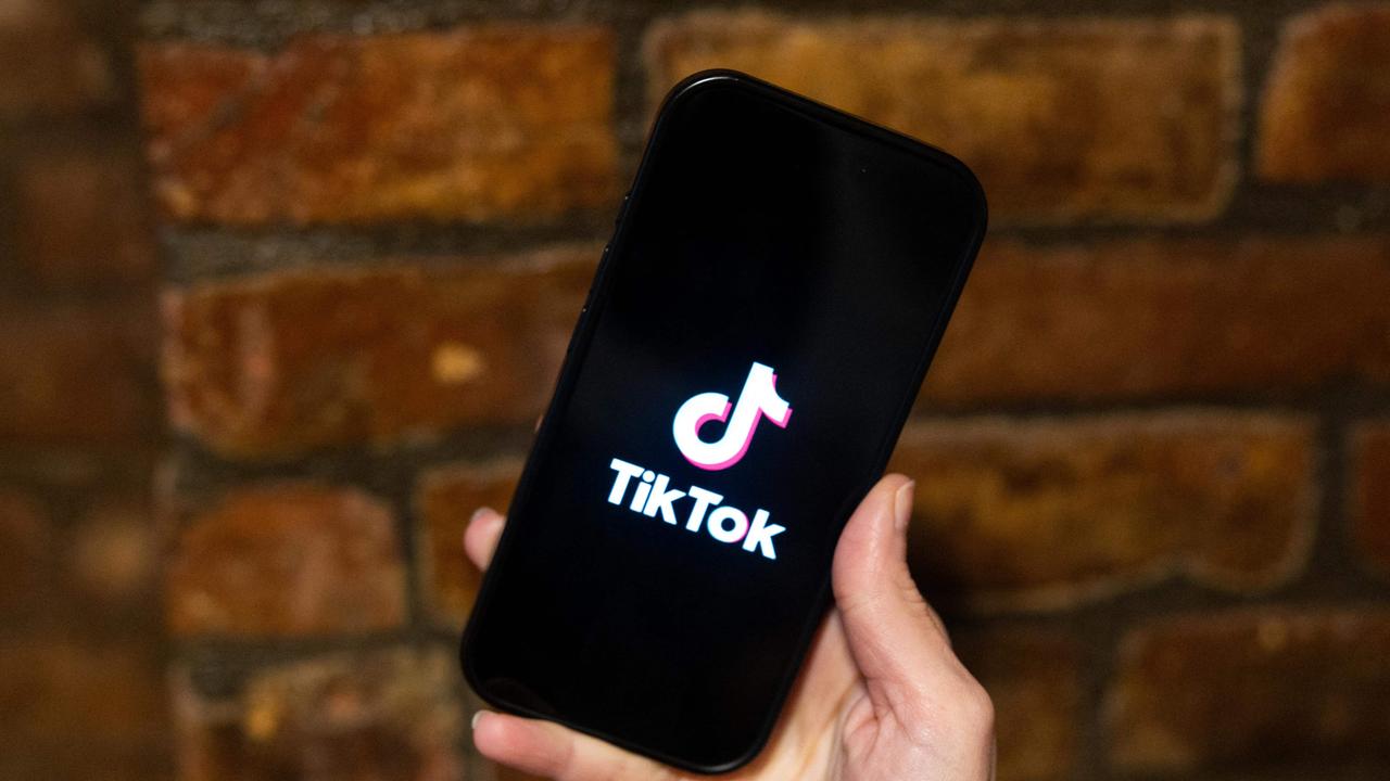 Incoming president ‘likely’ to delay TikTok ban by 90 days