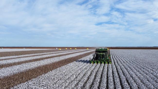 China’s Smart Shirts Limited have purchased NSW cotton powerhouse Gundaline Station.