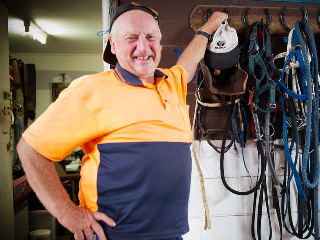 Race horse trainer Jim Jarvis has stories to tell.Photo: Rob Wright / The Coffs Coast Advocate