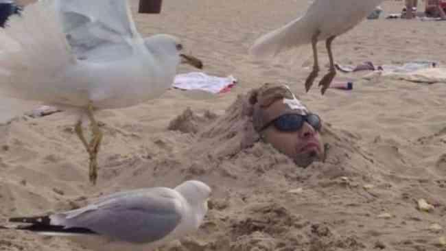 It's hilarious to be buried until you need to dodge the incoming seagulls. Then you have a toast. Photo: Reddit
