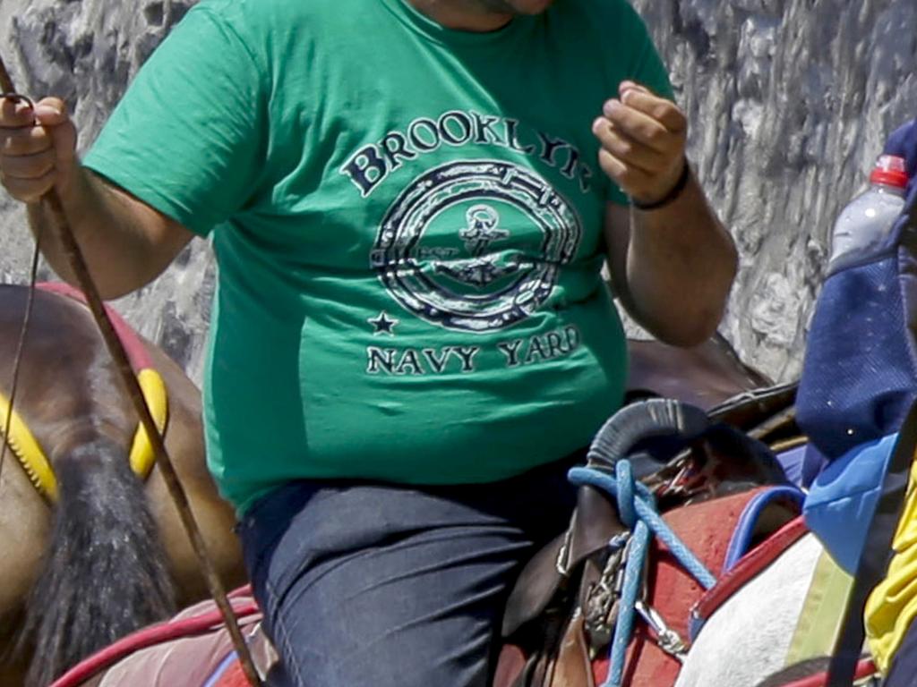 Animal welfare groups say donkeys have been suffering under the weight of increasingly obese tourists. Picture: Caters News Agency