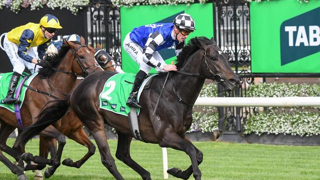 Gold Trip won the Turnbull Stakes eased down. Picture: Pat Scala/Racing Photos via Getty Images