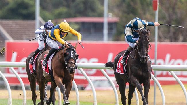 Strawberry Rock ridden by Declan Bates in Yellow coming towards the finish line at the 2025 Hobart Cup.Picture: Linda Higginson