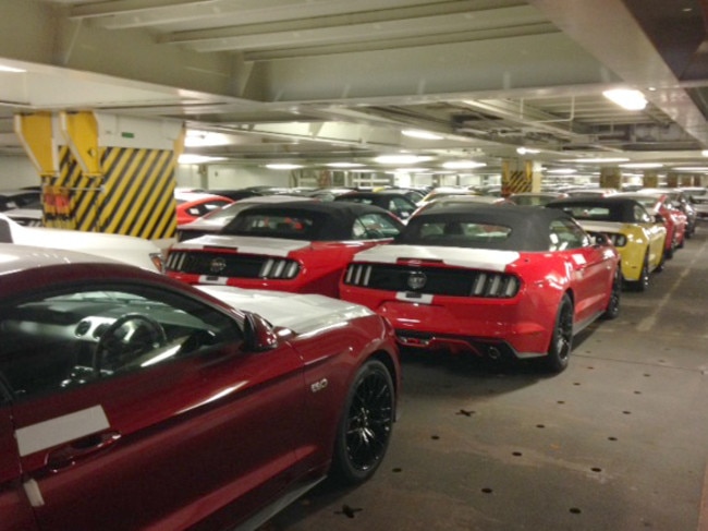 They are here ... 2015 Ford Mustangs pictured in the hold of a cargo ship waiting to be unloaded at port in Melbourne. Picture: Supplied