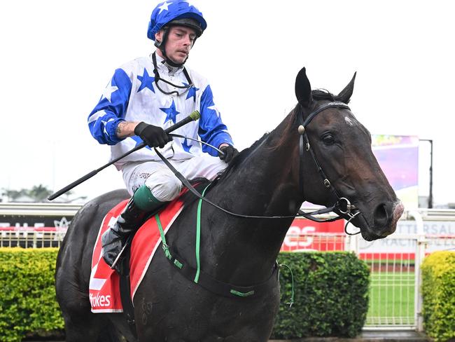 Defiant Spirit ridden by Robbie Dolan for Stuart Kendrick wins the QTIS Jewel Prelude 3YO Handicap over 1110m at Doomben on February 24, 2024. Picture: Grant Peters Trackside Photography.