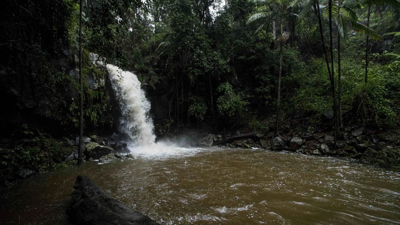 Gold Coast Weather Mount Tamborine Waterfall springs to life after big