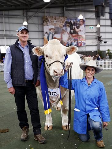 Royal Melbourne Show Cattle Judging 