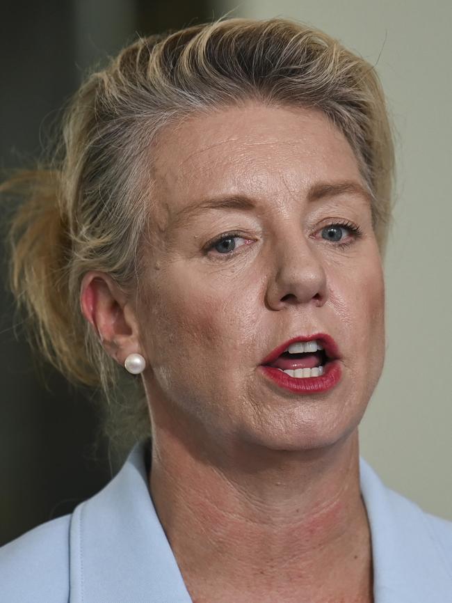 Coalition Senator Bridget McKenzie has raised concerns about price hikes on cars under Labor’s plan. Picture: NCA NewsWire / Martin Ollman