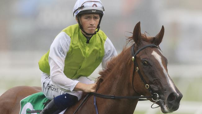 Jockey Tom Sherry will give the TAB Jockey Challenge a shake with a good book of rides. Picture: Getty Images