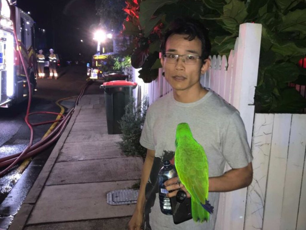 Anton Nguyen's parrot, Eric, alerted him to the fire when he squawked his owner's name. Picture: ABC