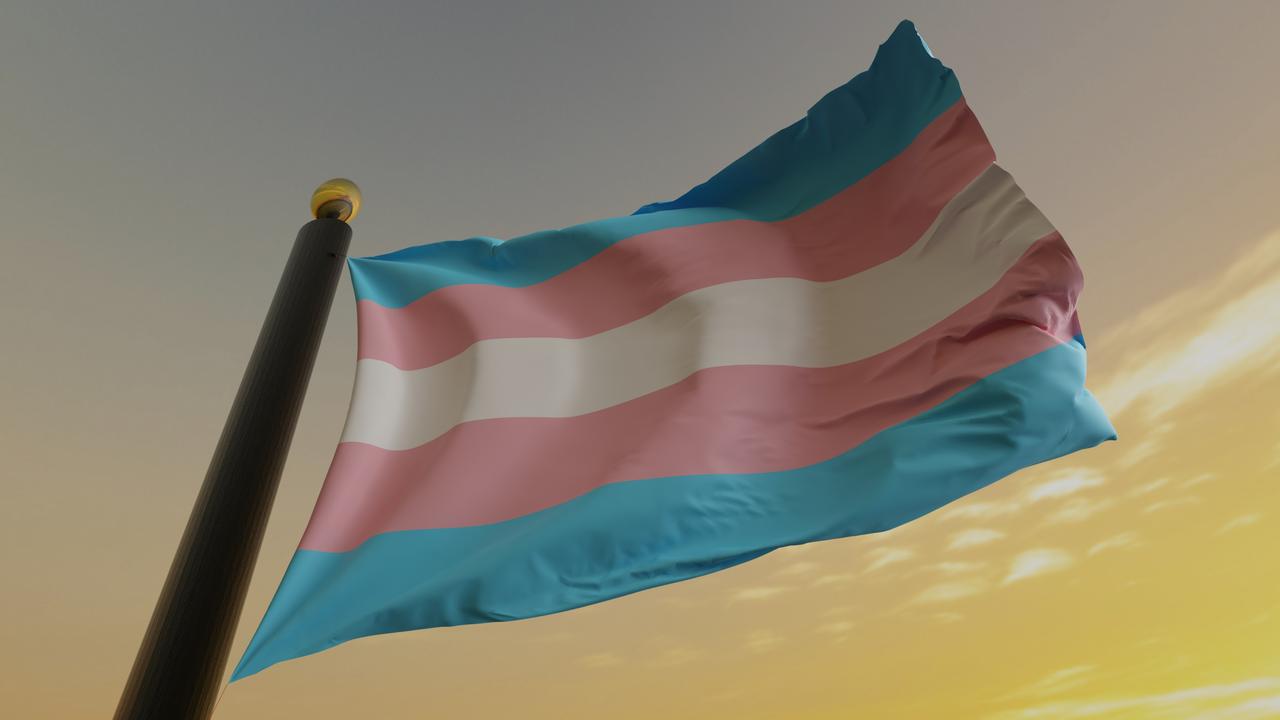 A recent study estimated there were 1.6 million people who identify as trans in the US.