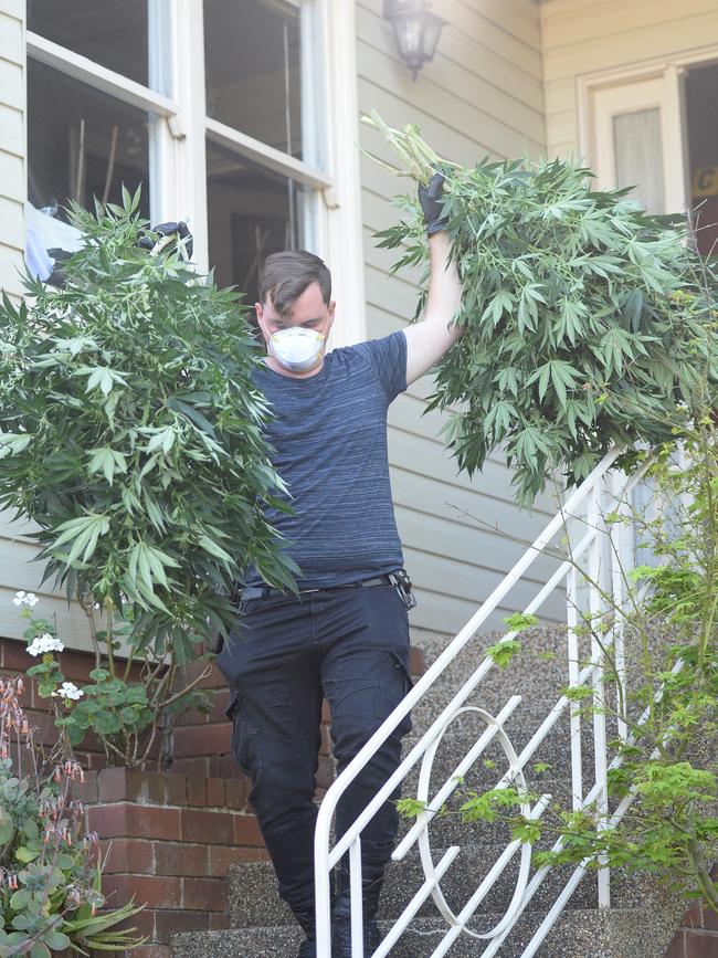 Cannabis raid in Read street , Eastwood. Photo Jeremy Piper