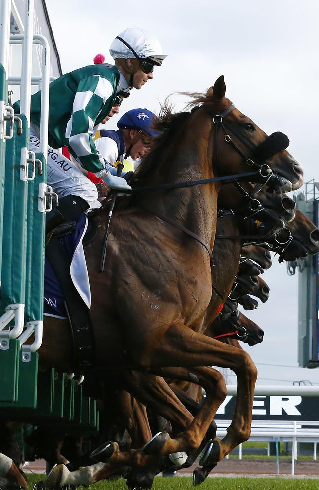 The Victoria Racing Club increased its membership by almost 5000 during the year.